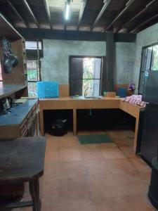 tree house chiang mai