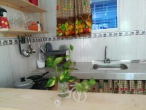 En mi casa cartagena