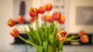 ruhige Terrassen-Whg. 68qm im Stadtzentrum (bis 5 Personen) checkin123