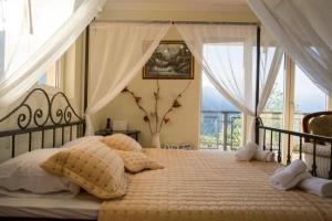 Apartments Golden View