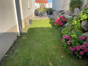 Appartements Villa Louise - Appartement Spacieux proche digue avec jardin : photos des chambres