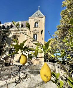 Appartements Appartement d'une chambre avec piscine partagee jardin amenage et wifi a Violes : photos des chambres