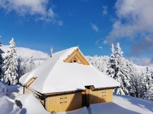 Koča Žafran - Velika planina 