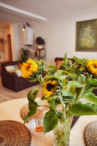 Central Park Apartment Birštonas