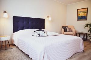 Central Park Apartment Birštonas