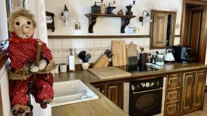 Mountain Dreams House - Stunning view over Lake Jasna!