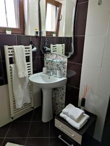 Sophia Central Studio