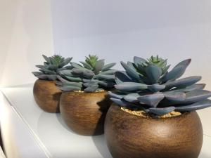 Appartements Felix Le Renfrogne Aubagne-Cassis-Aix en Provence : photos des chambres