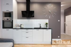 Millennium Awangarda Grey