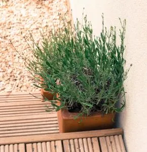 One Abbey Lane - Napton on the Hill