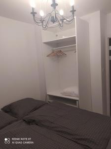 Apartament Brzechwy