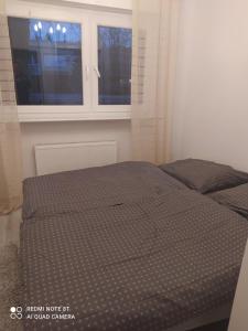 Apartament Brzechwy