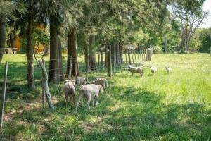 Chacra La Mondiola del Este