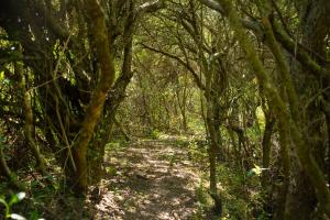 Chacra La Mondiola del Este