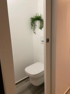 Appartements Felix Le Renfrogne Aubagne-Cassis-Aix en Provence : photos des chambres