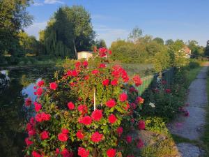 Appartements Le Cottage des Hortillonnages : photos des chambres