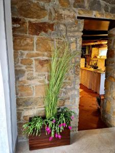 CASA VILLANOVA homes