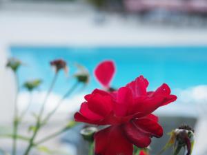 Maisons d'hotes Le clos des Noaillettes : photos des chambres
