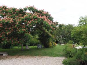 Maisons d'hotes Le clos des Noaillettes : photos des chambres