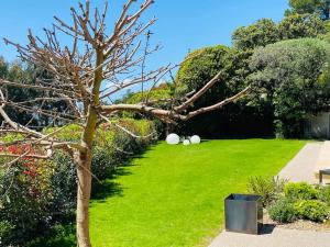 Luxury villa in Cannes with swimming pool & sea view