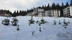 Ernik Pamporovo Apartment