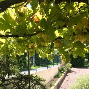 Chambre dhôtes des Gâtines