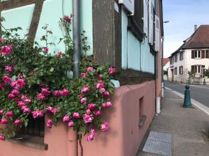 Gîte mon rêve à Scherwiller avec SPA sur la route des vins au coeur de lalsace