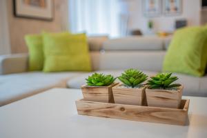 University city life Bestern