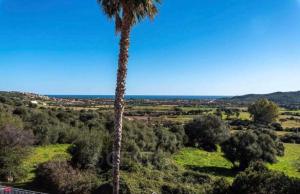 Villetta L'affaccio sul mare img3