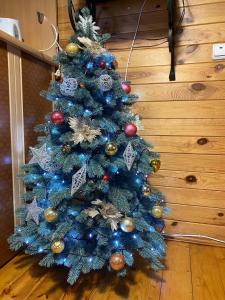 Girske Povitria Cottage