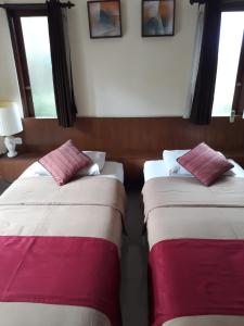 Phòng Đôi Tiêu Chuẩn Có 2 Giường Đôi (Standard Double Room with Two Double Beds)