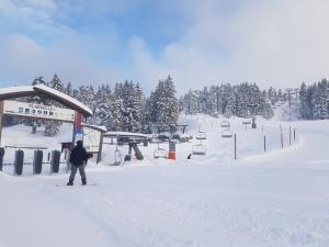 Appartements L'Apres-ski Chamrousse 1700 : photos des chambres