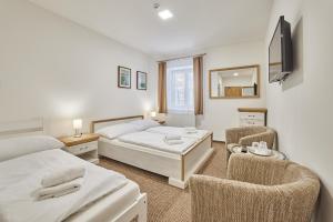 Triple Room with Private Bathroom room in Pension Varta