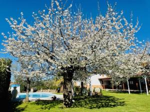 VILLA "Casa al Chiazzullo"