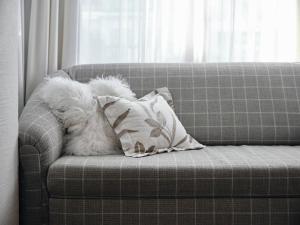 Appartements Erwin & Eleonore Hüttl I