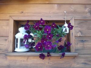 Residence Fior di Roccia