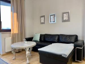 Apartamenty Nowe Centrum