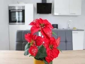 Allgäu Oase - Schwanden