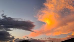 Forest Hill Country Lodge