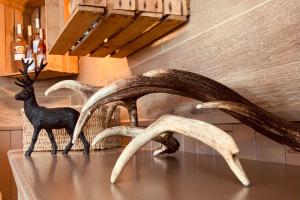 Hotels L'Escoundillou : photos des chambres