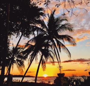 Tamarindo Condo 206 Matapalo