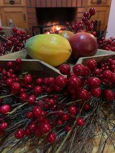 Le Domaine de l’Orangeraie