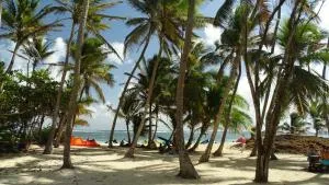 Appartement Oslo - Belle Languette