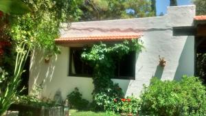 Casa en Luján de Cuyo con pileta