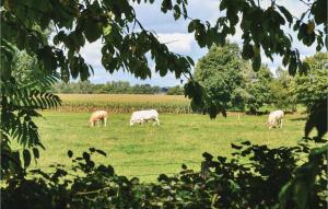 Beautiful Home In Montaudin With Wifi