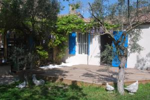 Maisons de vacances Les Volets Bleus Provence : photos des chambres