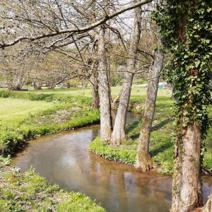 Maisons de vacances Au fil de l'eau a la campagne : photos des chambres