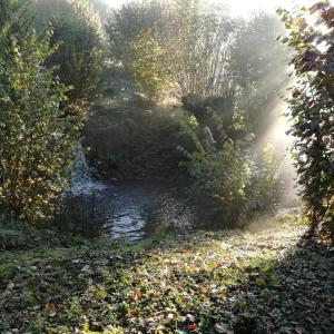 Maisons de vacances Au fil de l'eau a la campagne : photos des chambres