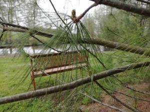 Maisons de vacances Au fil de l'eau a la campagne : photos des chambres