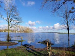 Maisons de vacances Lac Grand Lieu : maisonnette au calme avec jardin : photos des chambres